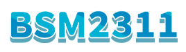 BSM 2311